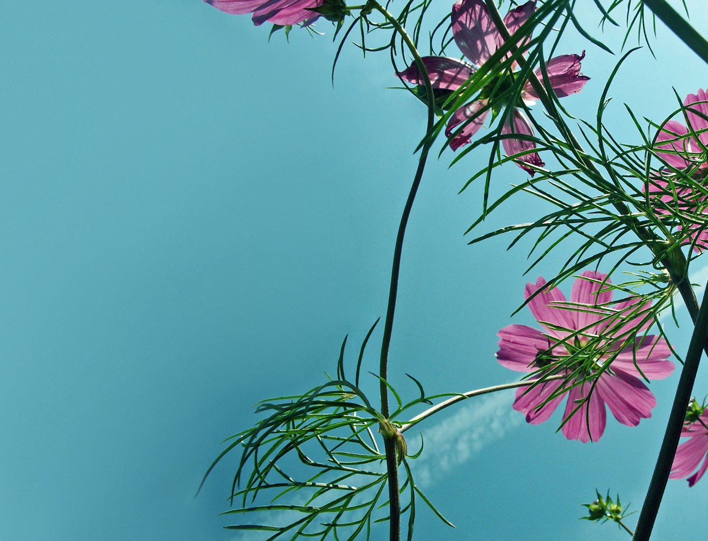 Haus Tanneck – Pflege, Kurzzeitpflege & Tagespflege.